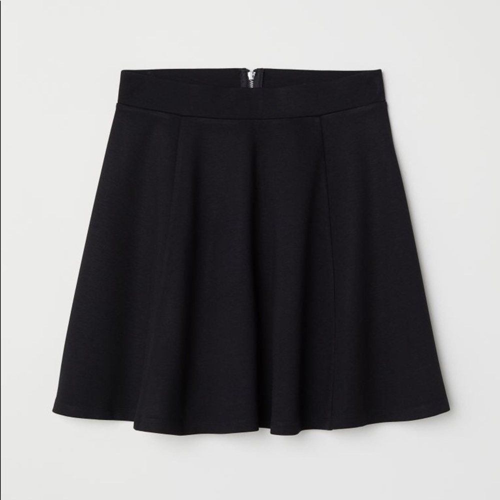 NWT H&M Skater Skirt